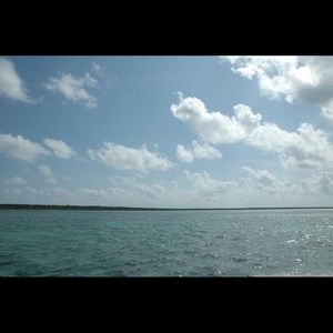 Meet your Posher, Madi